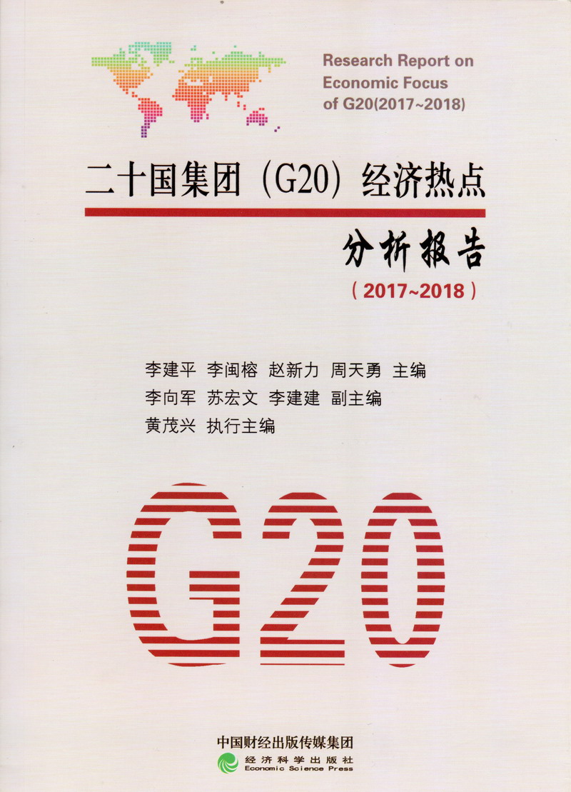 大吊插进去没二十国集团（G20）经济热点分析报告（2017-2018）